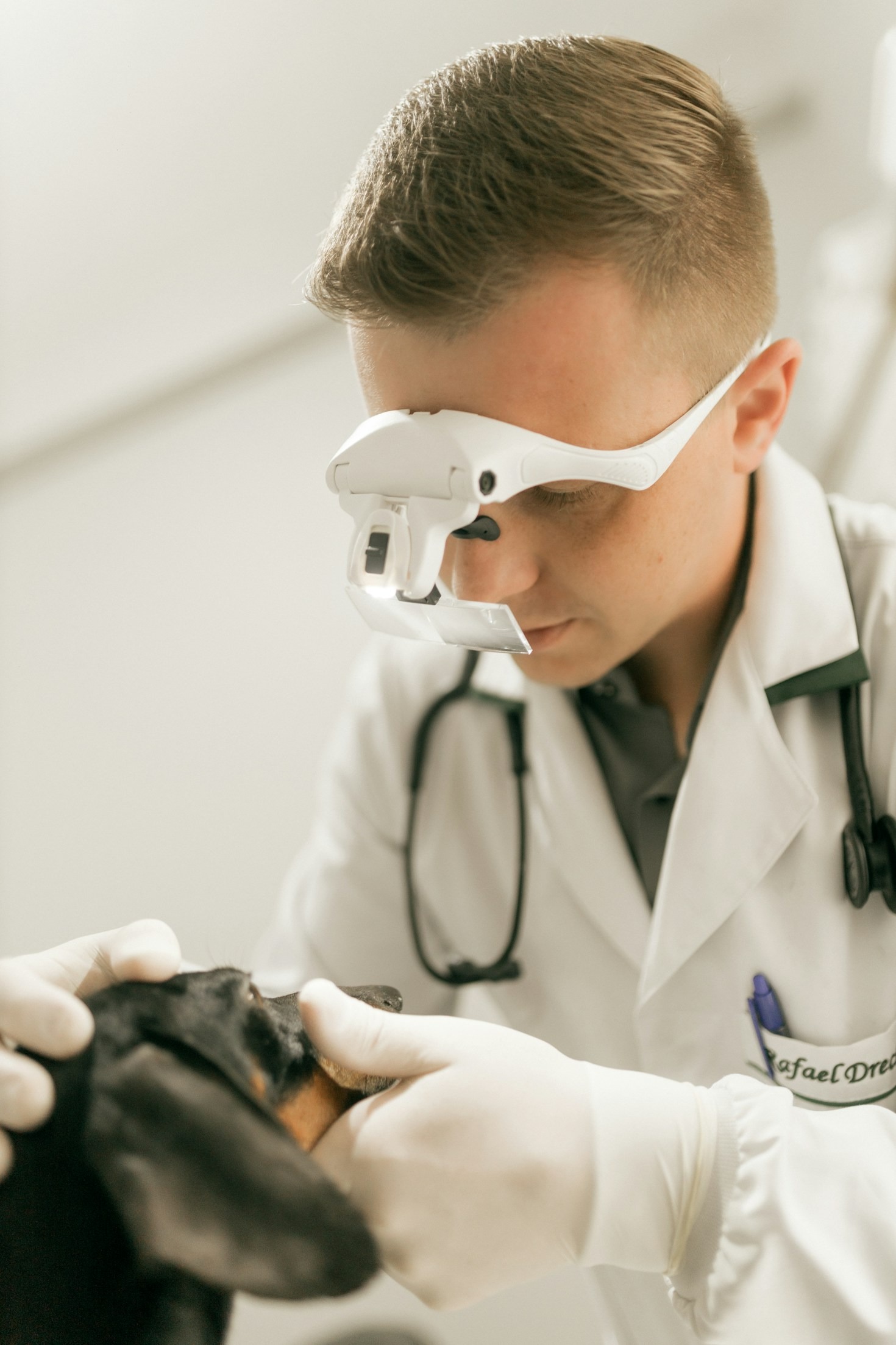 Por Que Confiança é Tudo na Escolha do Veterinário